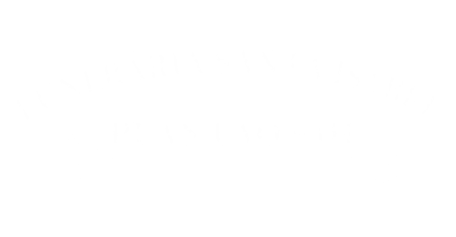 Funerária Santa Isabel — Plantão 24h